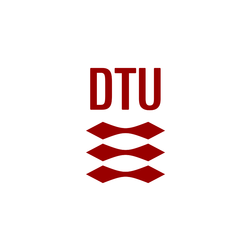 Logo DTU - Technical University of Denmark