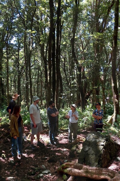 TwInSolar partners visiting a primary forest in the South East of the island.